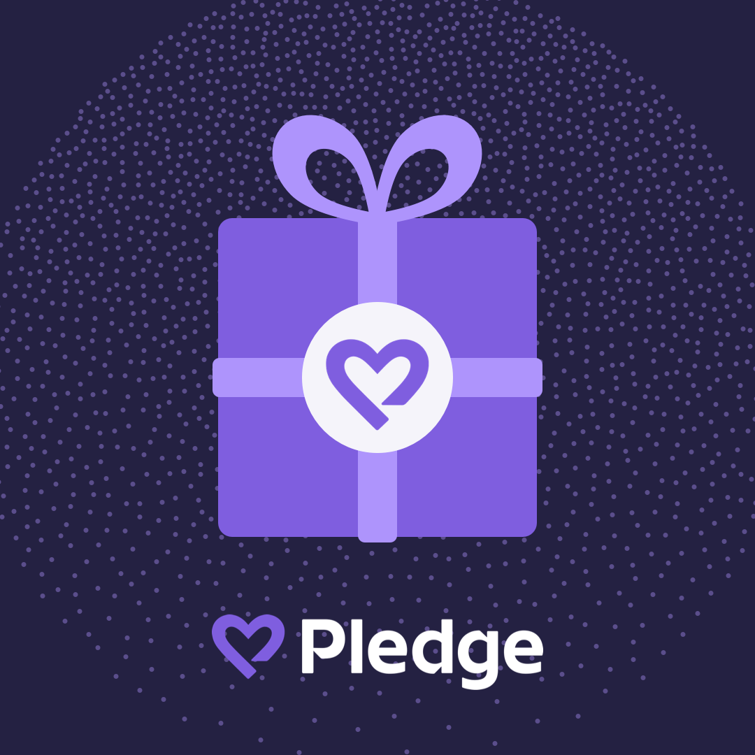Pledge donation by SKYTRAK icon 